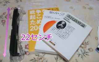 ほんたったを折りたたんだところ。タテの大きさは22センチ